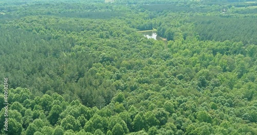 Aerial view forest lake water summer nature between by mountains in Campobello, South Carolina photo