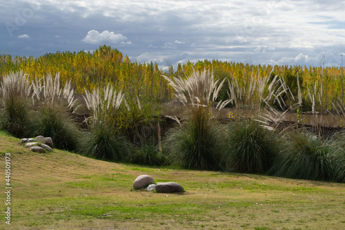 paisaje de otoño