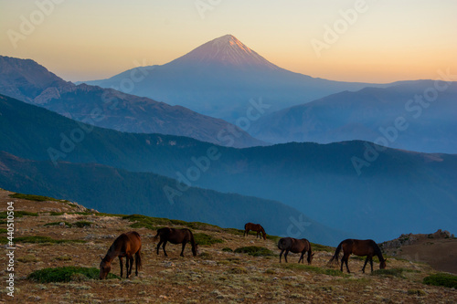 Mount Damavand  a potentially active volcano  is a stratovolcano which is the highest peak in Iran and the highest volcano in Asia.