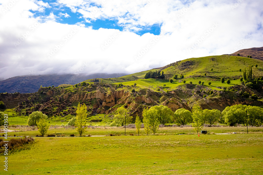Obraz premium The fields of Cardrona, Otago