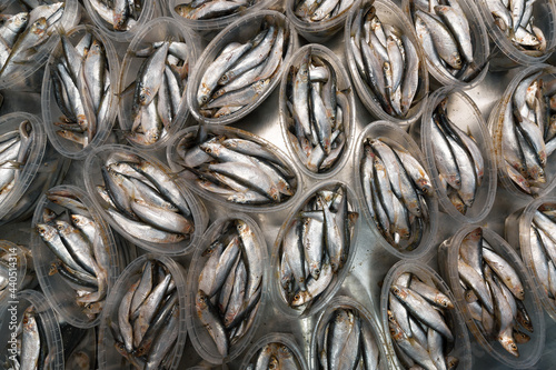 Plastic jars with sprat. Canned fish. Seafood production