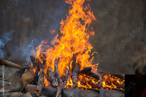 A fire in a forest in the campaign. Firewood is burning in the forest.