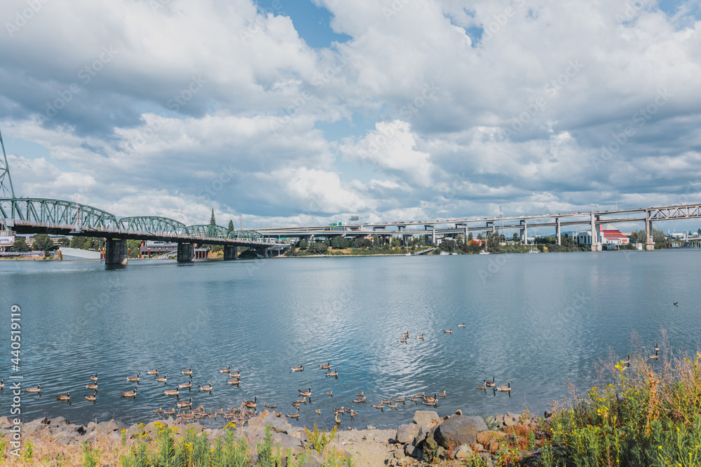 bridge over the river