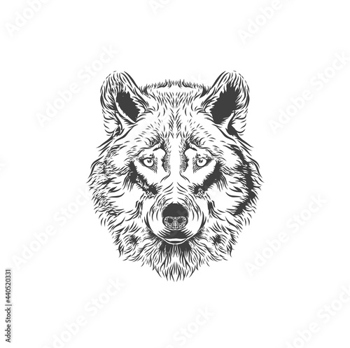 wolf face logo, hand drawn vector 