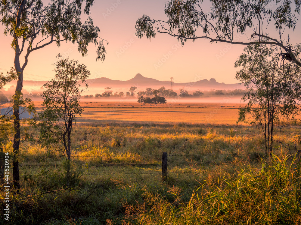 Obraz premium Morning Light Over Rural Scenery with Mist