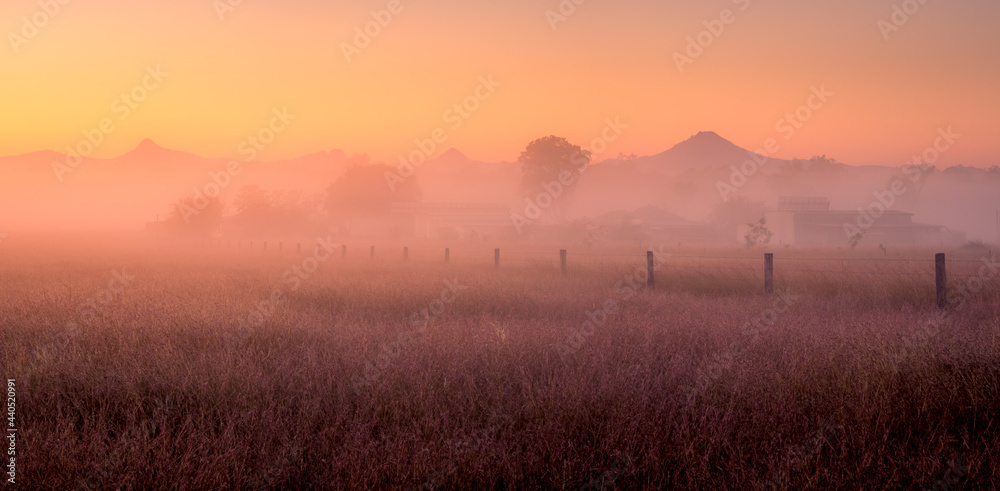 Panorama of Farm in Morning Mist