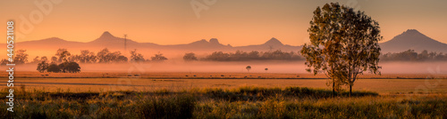Panorama of Farmland with Mountains and Morning Mist