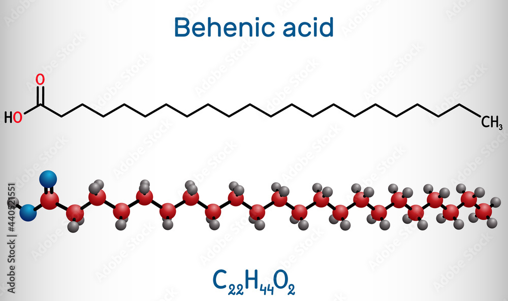 Behenic acid, molecule. It is docosanoic acid, straight-chain, long-chain saturated fatty acid. Structural chemical formula and molecule model