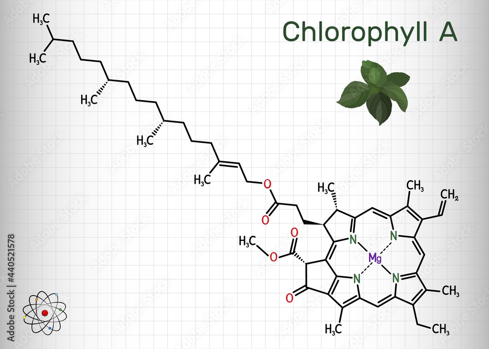 Chlorophyll A, chlorophyll molecule. It is photosynthetic pigment used in oxygenic photosynthesis. Skeletal chemical formula. Sheet of paper in a cage - obrazy, fototapety, plakaty 