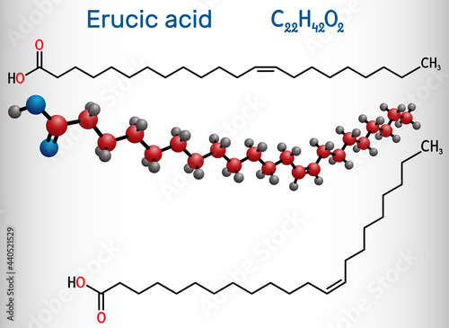 Erucic acid, docosenoic acid molecule. It is carboxylic, monounsaturated omega-9 fatty acid. Structural chemical formula and molecule model