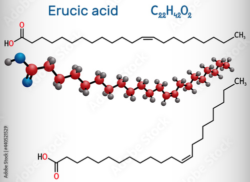 Erucic acid, docosenoic acid molecule. It is carboxylic, monounsaturated omega-9 fatty acid. Structural chemical formula and molecule model