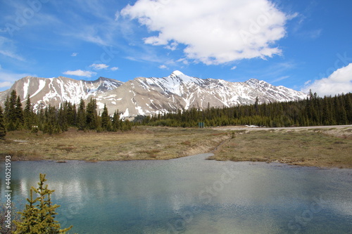 Pond By The Ice Fields, Jasper National Park, Alberta