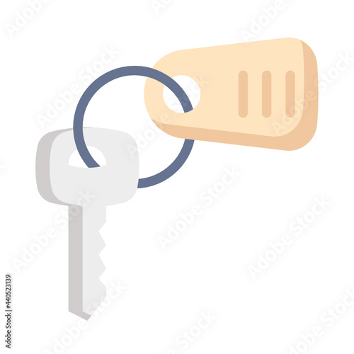 room key flat icon