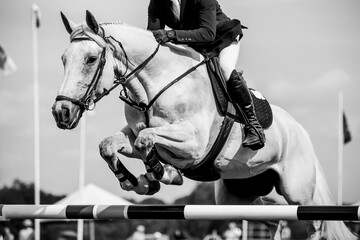Horse Jumping, Equestrian Sports, Show Jumping themed photo.