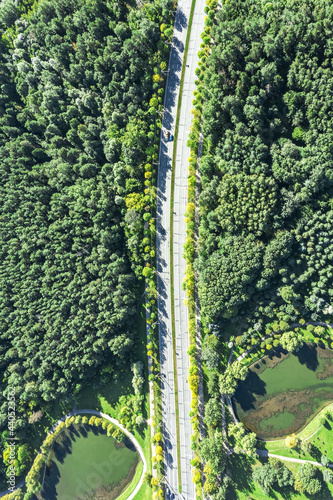 cars traffic on the asphalt road among the green forest. aerial top view from drone.
