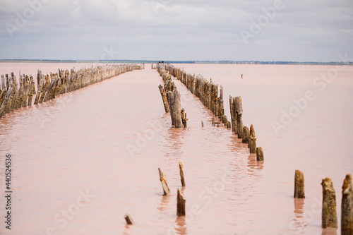 Pink Salt Lake . Sasyk-Sivash pink salt lake in Crimea. Summer landscape.