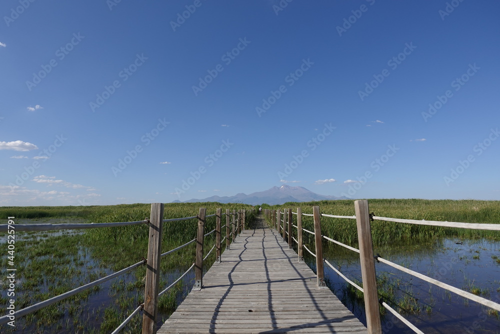 The Road Towards the Mountain Through Swamp and Reeds 