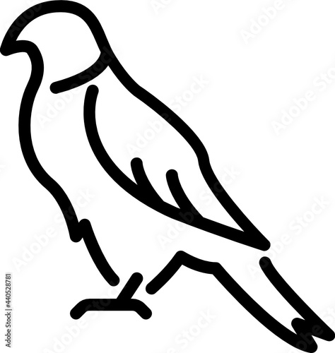 hawk minimal line icon