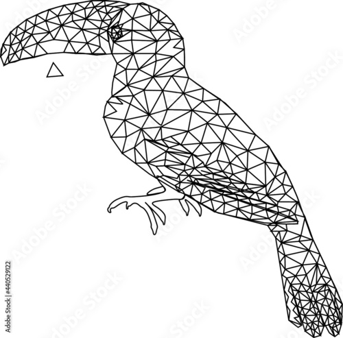This is an image keel billed toucan bird low poly vector illustration.