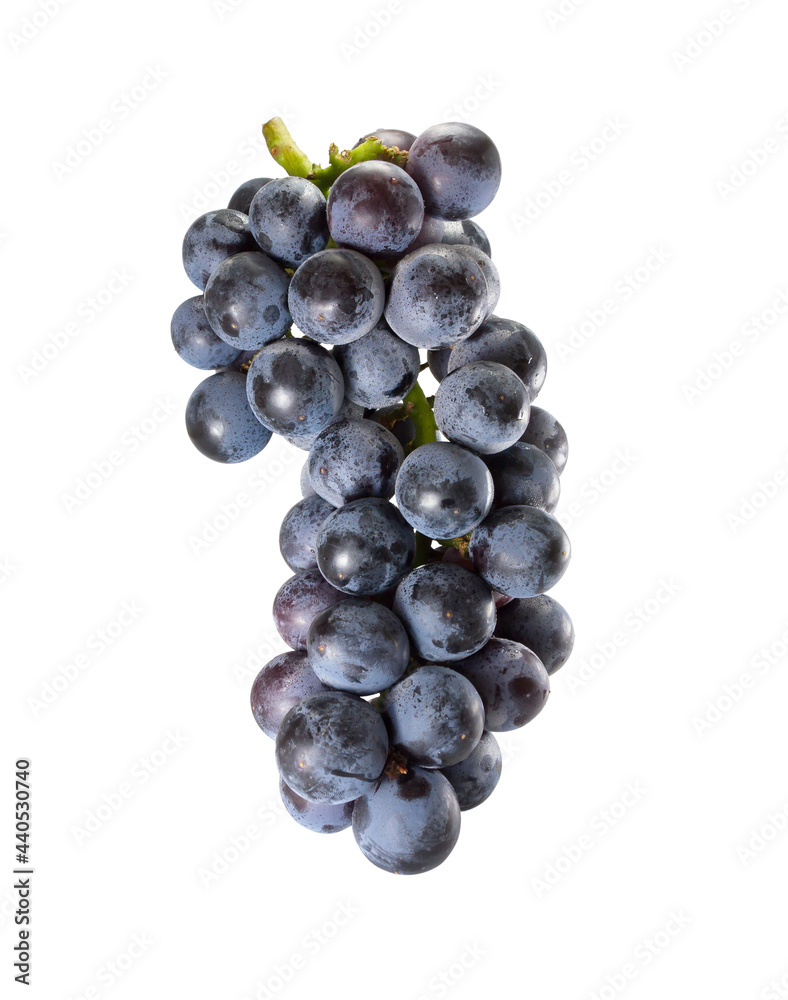 Bunch of black grapes isolated on white background. Bunch of black grapes isolated on white background.