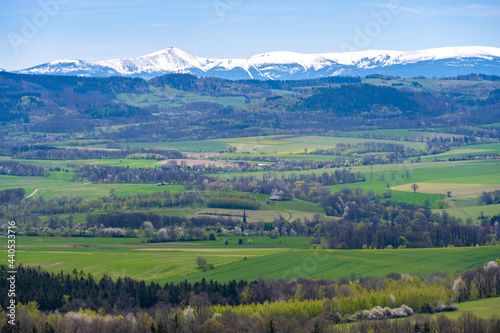 Fototapeta Naklejka Na Ścianę i Meble -  view on Sudety with snowy Karkonosze mountains with green meadows during spring in Poland 