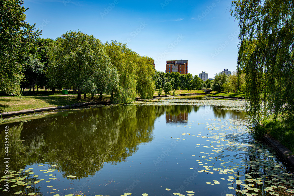 Fototapeta premium central park city