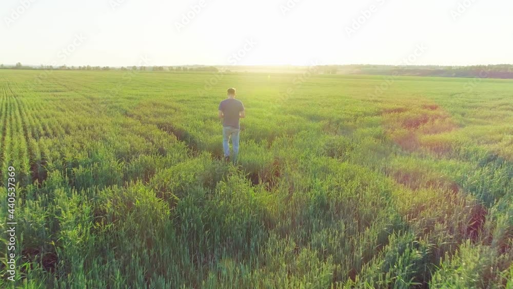 Aerial video of a man on agricultural field with wheat Aerial video of a man on agricultural field with wheat