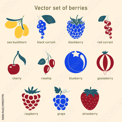 Vector set of berries. Collection of icons  sea buckthorn, black currant, blackberry, red currant, cherry, rosehip, blueberry, gooseberry, raspberry, grape, strawberry.