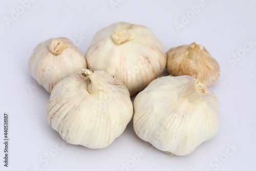 Fresh Garlic on white background