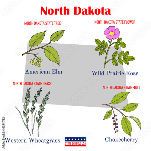 North Dakota. Set of USA official state symbols
