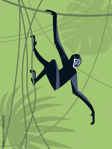 Monkey