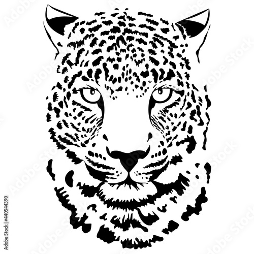 Black and white leopard head. Hand-drawn vector illustration.