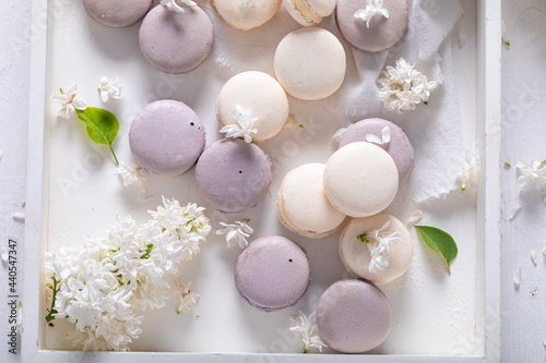 Gorgeous macaroons of flower flavour. Unique dessert arrangement.