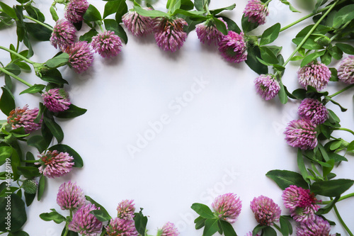 postcard layout. floral frame from flowers pink clover and space for text 