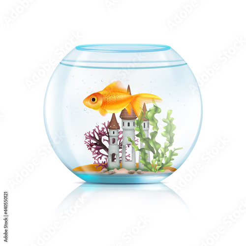 Aquarium Fish Realistic Composition