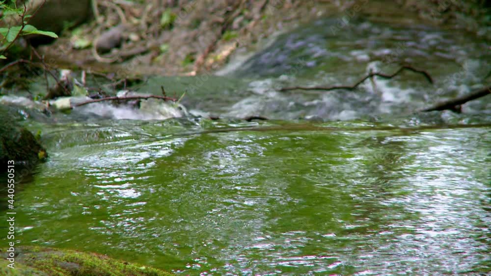 Small stream in the woods during summertime in Sweden Small stream in the woods during summertime in Sweden
