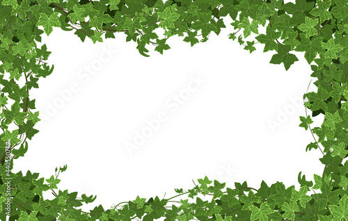 Ivy Climbing Frame Composition