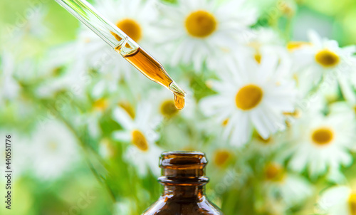 Tincture of chamomile extract in a pipette drop. Selective focus. photo