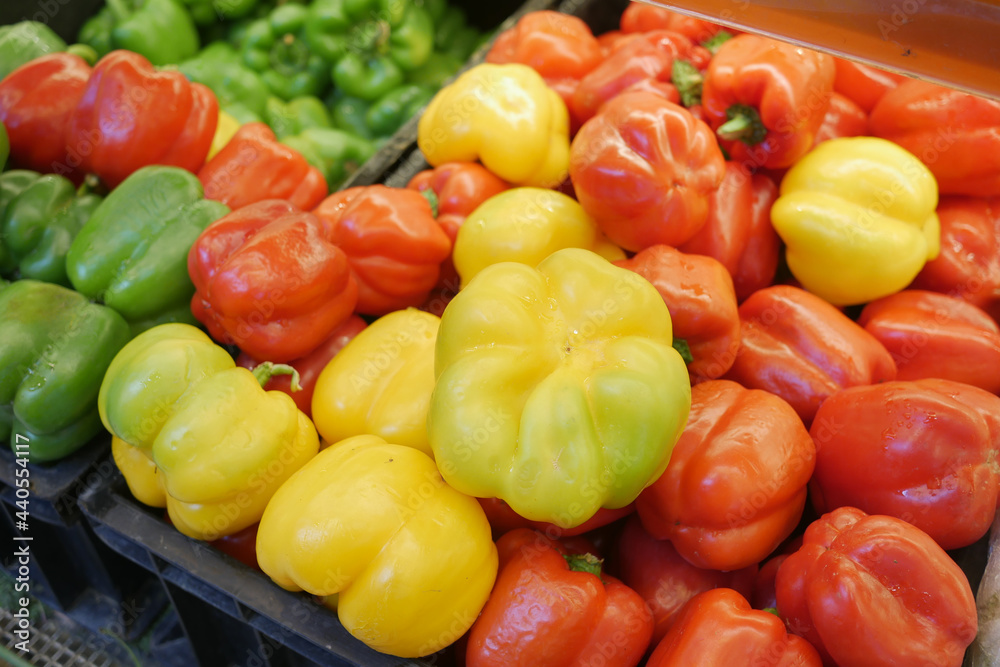 Yellow orange and red capsicum on display for sale Yellow orange and red capsicum on display for sale