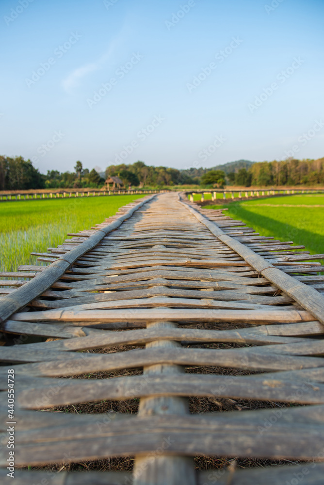 Selective focus on wooden bamboo path bridge spanning in the green rice field countryside with soft light in the evening for Thailand tourism travel concept