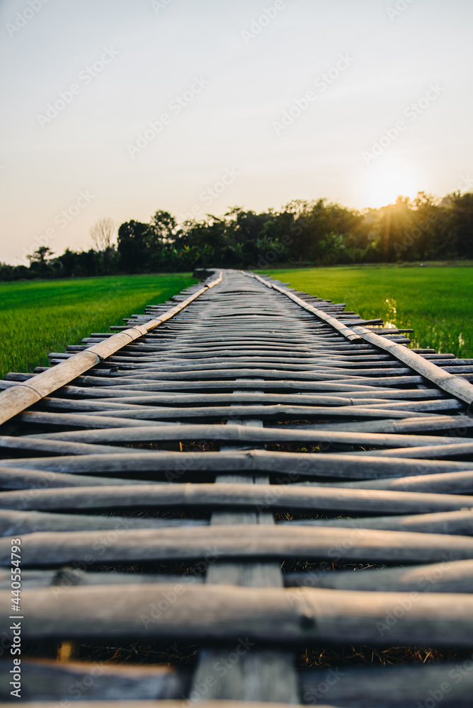 Obraz premium Selective focus on wooden bamboo path bridge spanning in the green rice field countryside with sun light in the evening for Thailand tourism travel concept