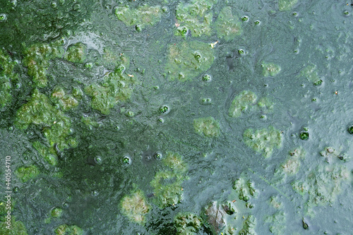Background with a green mud on the puddle surface