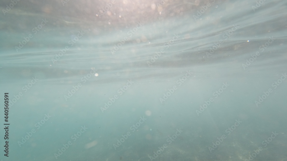 Fototapeta premium Unterwasseraufnahmen