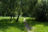 The path leads deep into the park