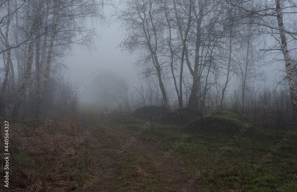 Obraz premium Spring April fog