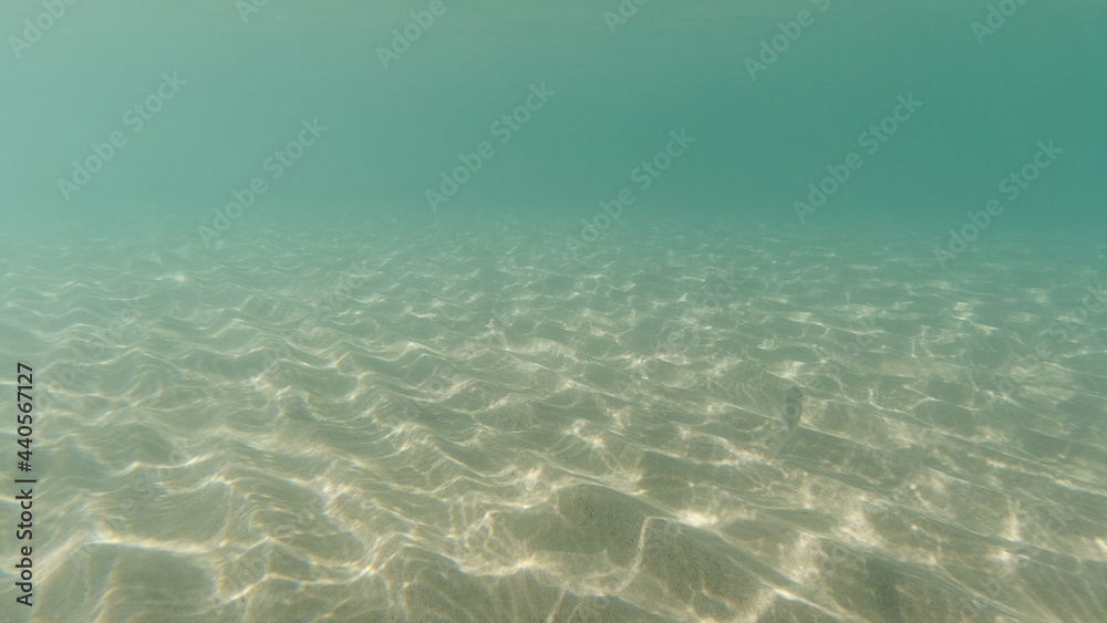 Naklejka premium Unterwasseraufnahmen