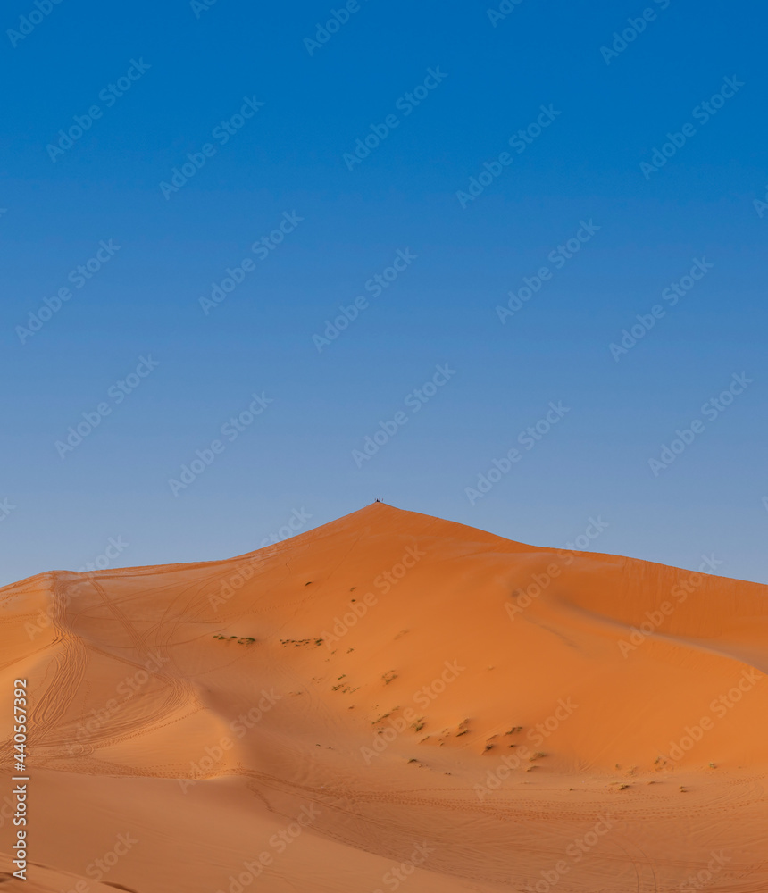 Group of people on top of the dune