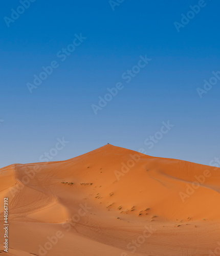 Group of people on top of the dune