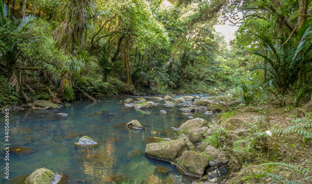 Whangarei Falls in New Zealand