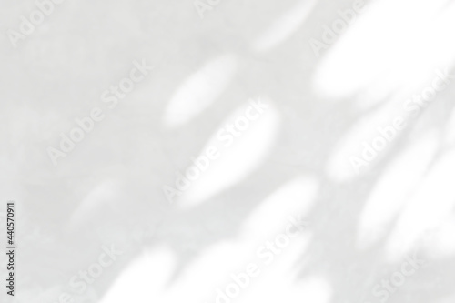 Abstract shadow of leaves on a white wall, overlay effect for photo, mock up, product, wall art, design presentation photo